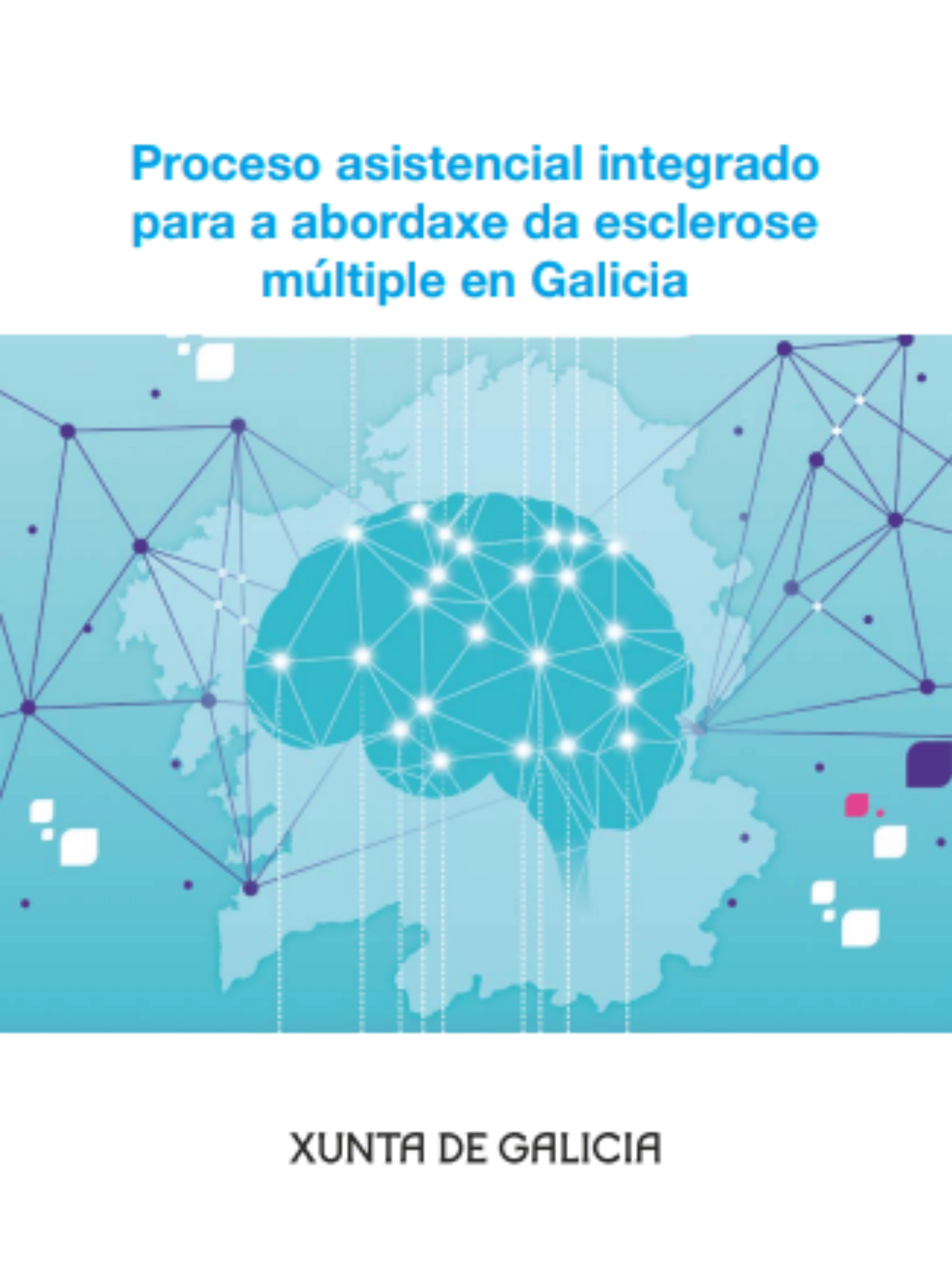 Proceso Asistencial Integrado (PAI)